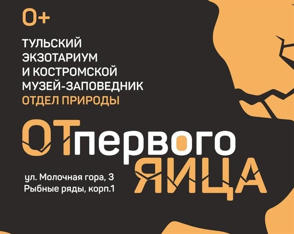 В Костроме открывается познавательная выставка о зарождении жизни из яйца