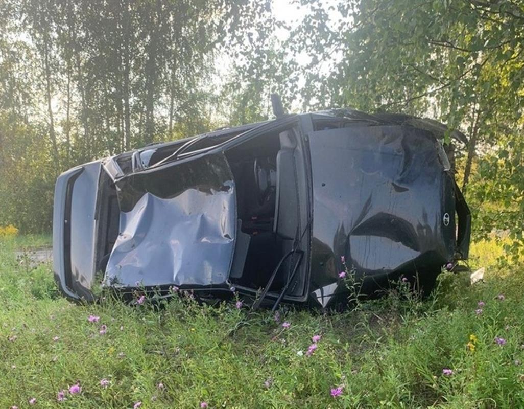В Костромском районе из-за технической неисправности автомобиль улетел в кювет 