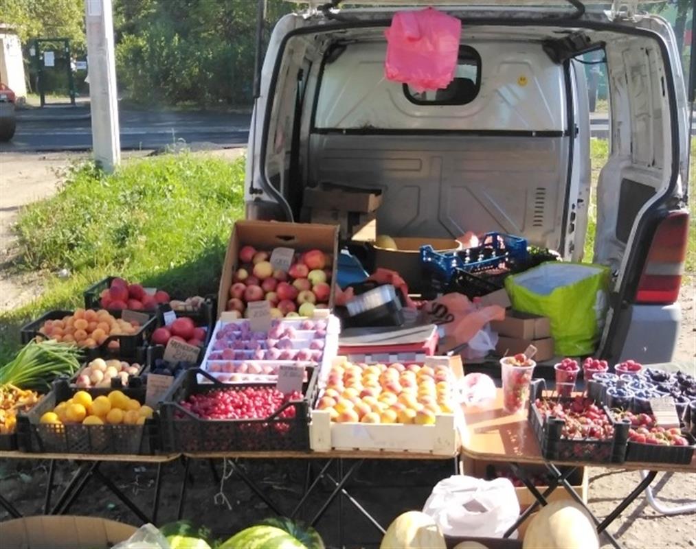 За стихийную торговлю продуктами в Костроме нарушителям грозят штрафы