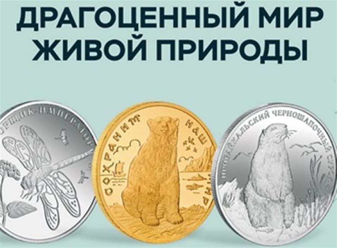 Фотовыставка редких монет открылась в костромском ДК «Селище»