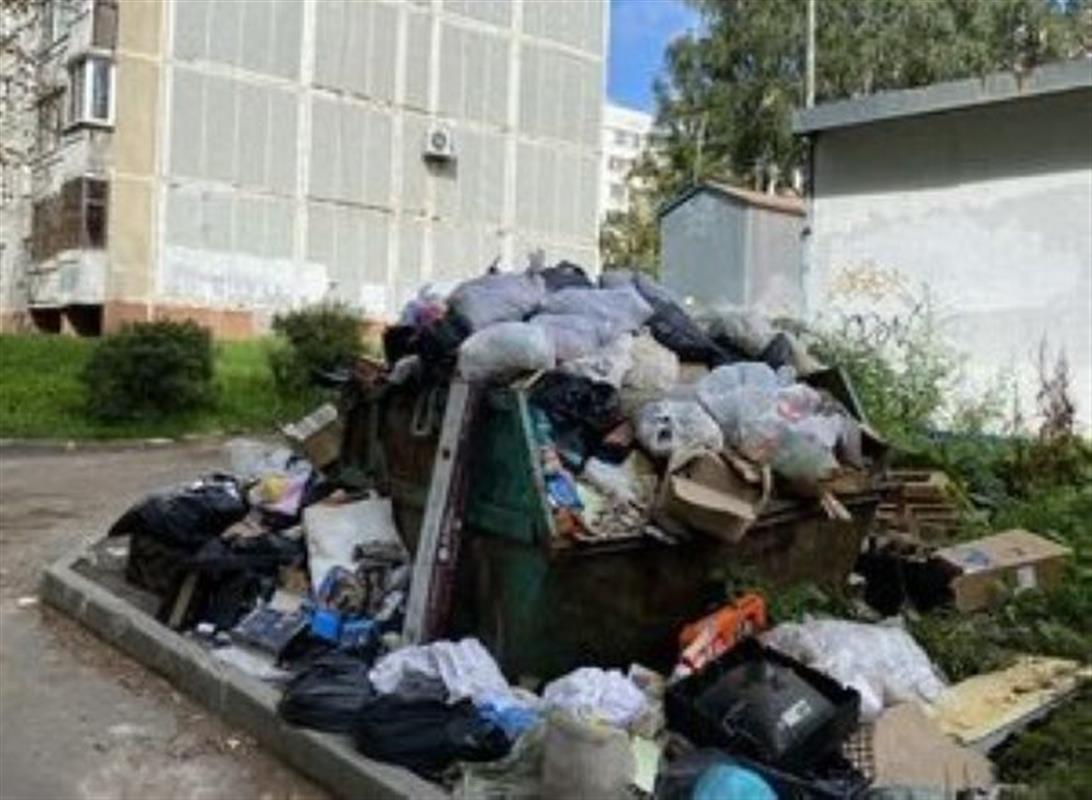 С помощью «Народного инспектора» жители Костромы наводят чистоту во дворах

