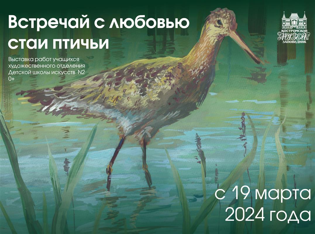 Выставка к Международному дню птиц открывается в Костроме
