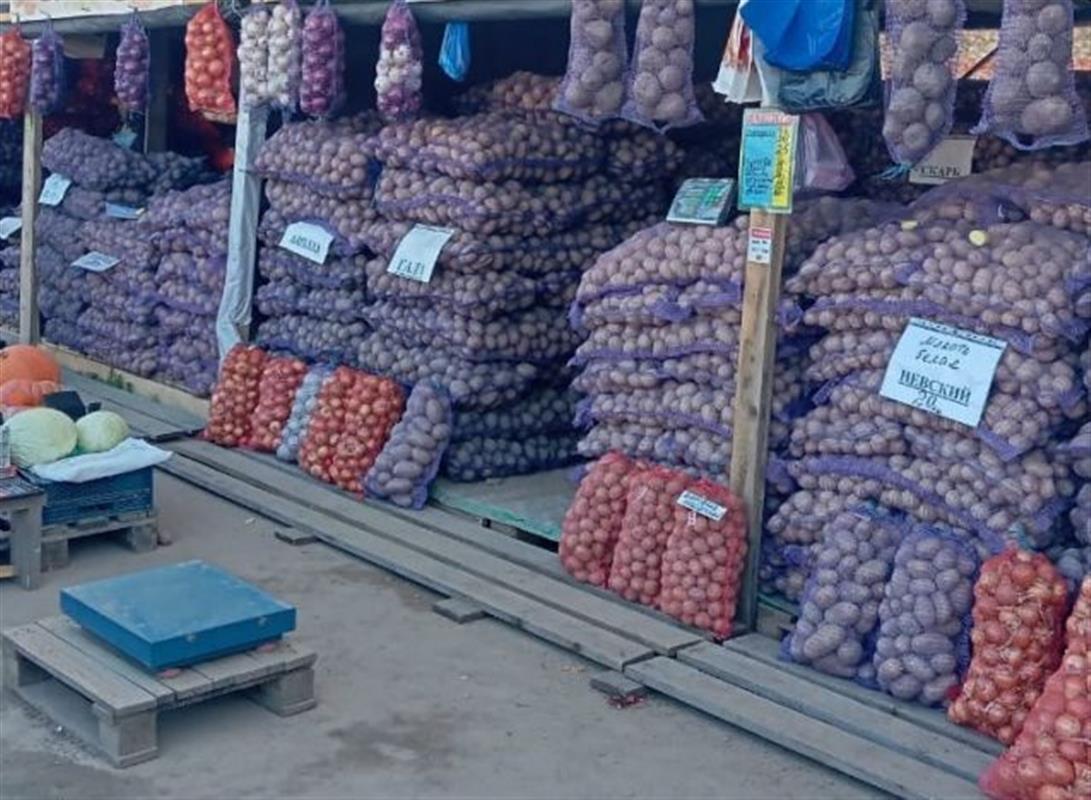 На осенних сельхозярмарках костромичи могут приобрести овощи по ценам производителя