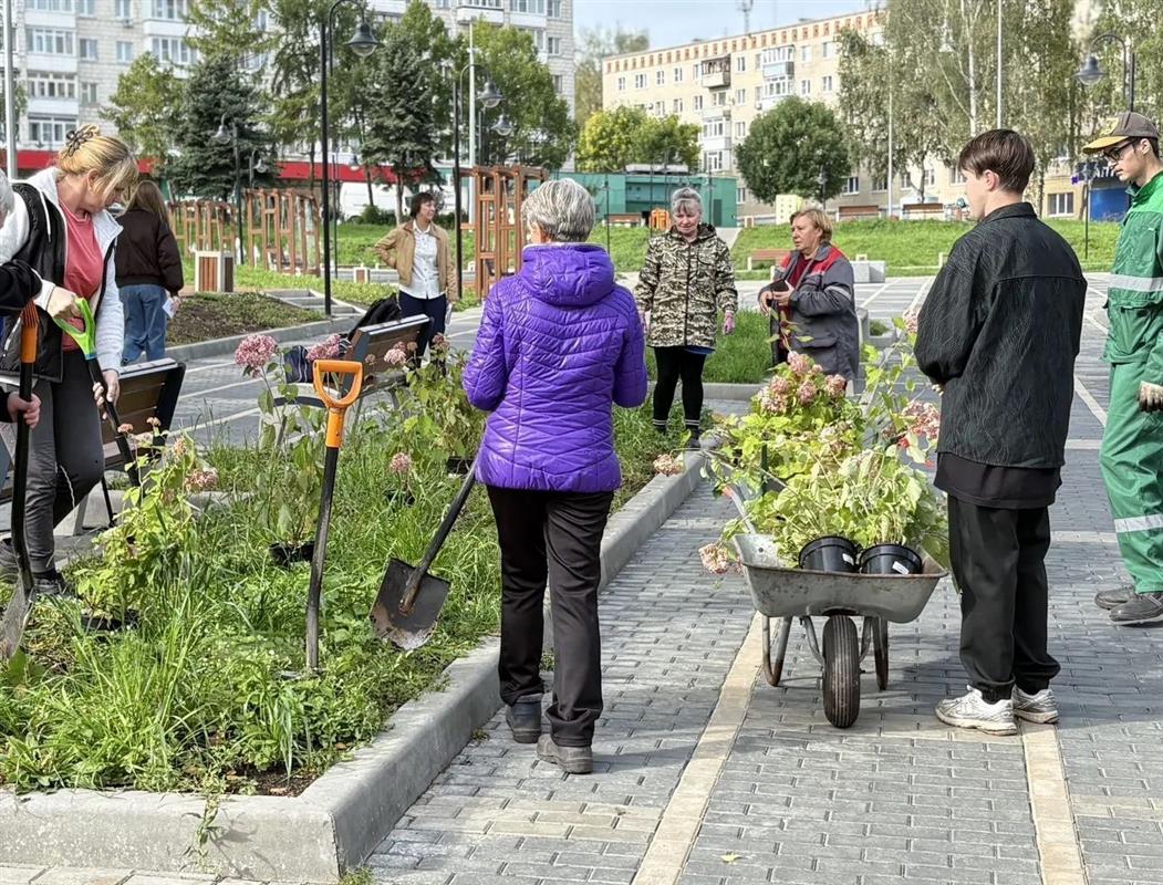 На улицах Костромы высаживают молодые деревья и кустарники