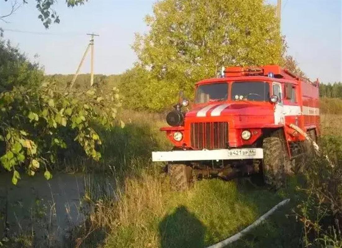 Костромские службы потушили лесной пожар 