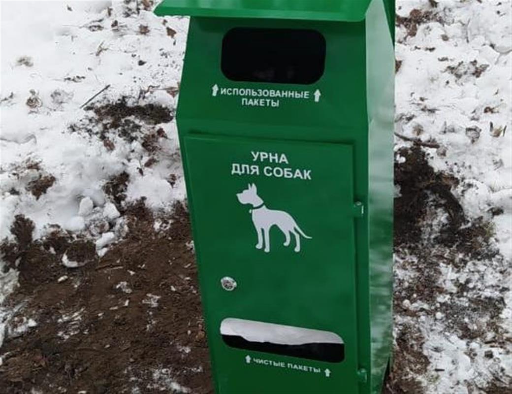 В костромских парках и скверах устанавливают дог-боксы 