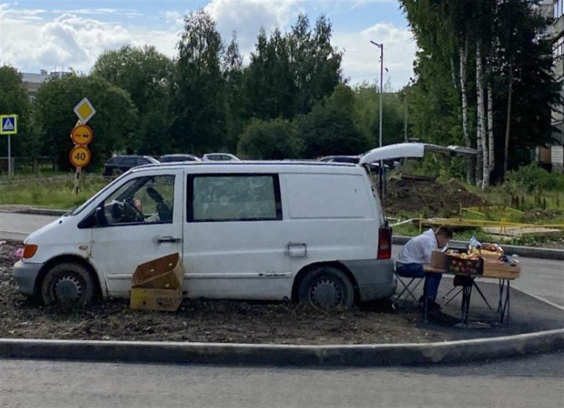С помощью «Народного инспектора» жители борются со стихийной торговлей в Костроме