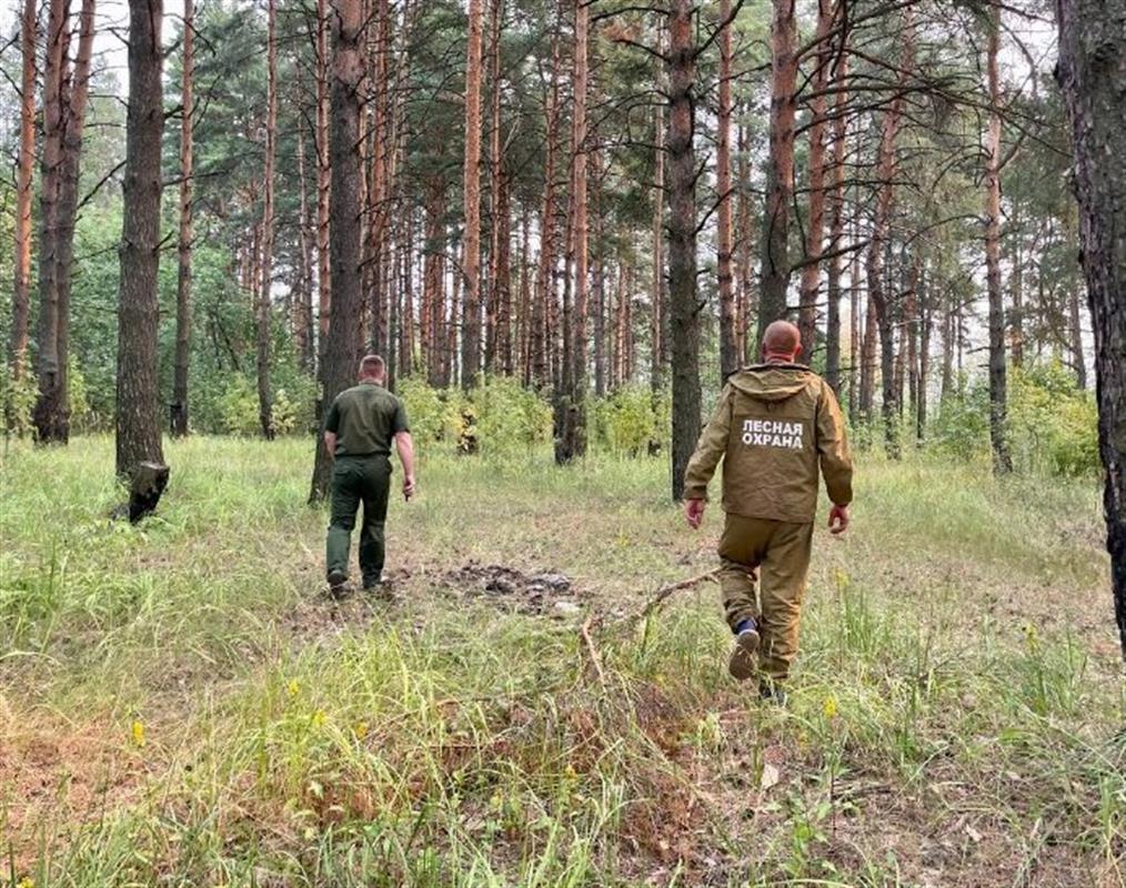 В Костромской области обнаружили и оперативно потушили лесной пожар