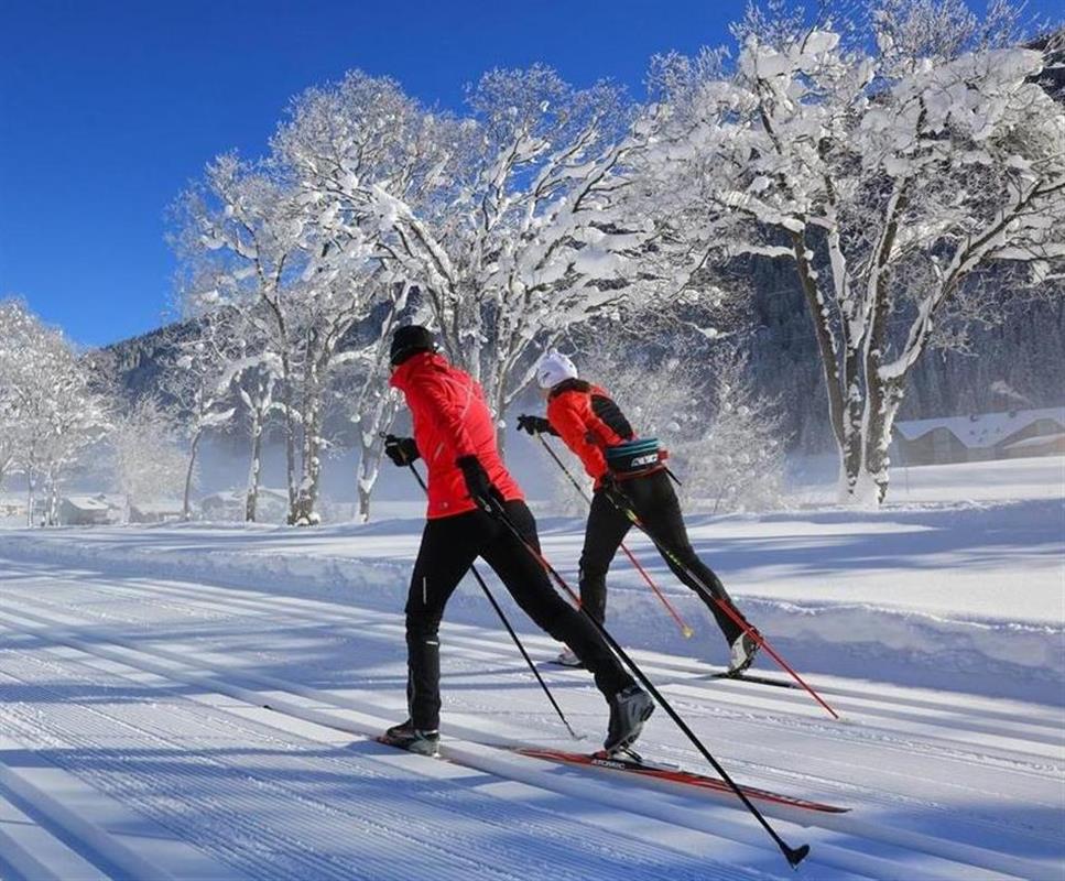 Областной конкурс «Кострома лыжная» стартует на этой неделе