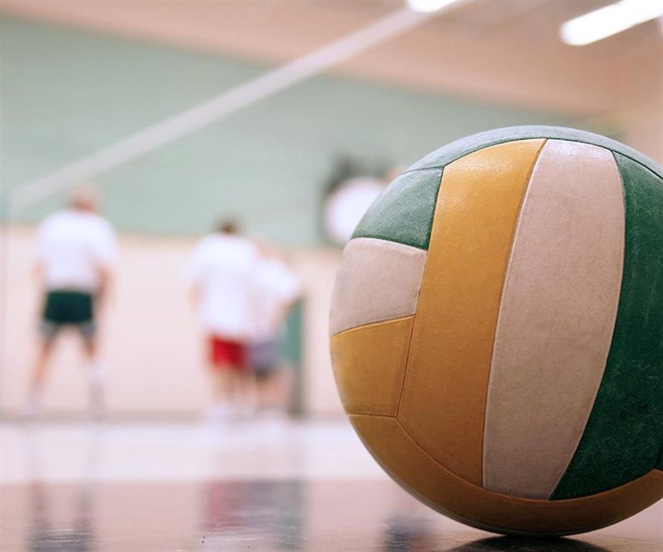 Костромские спортшколы получили статус образовательных организаций 