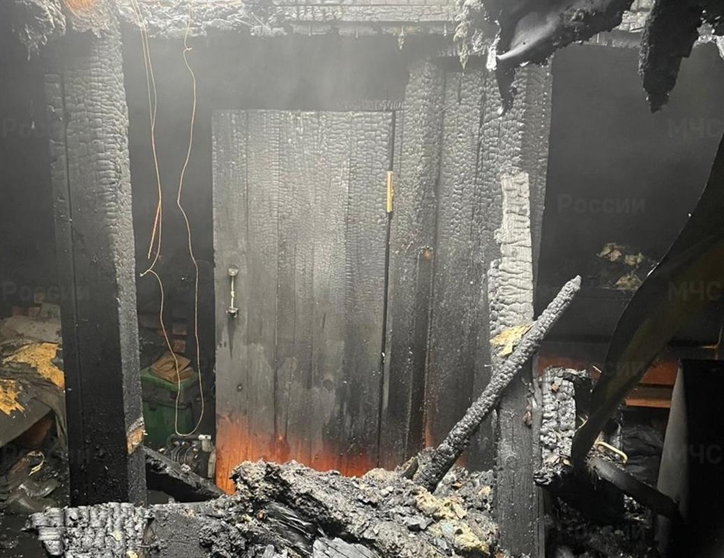 В Костроме сотрудники МЧС спасли 5 поросят во время пожара в хозпостройке