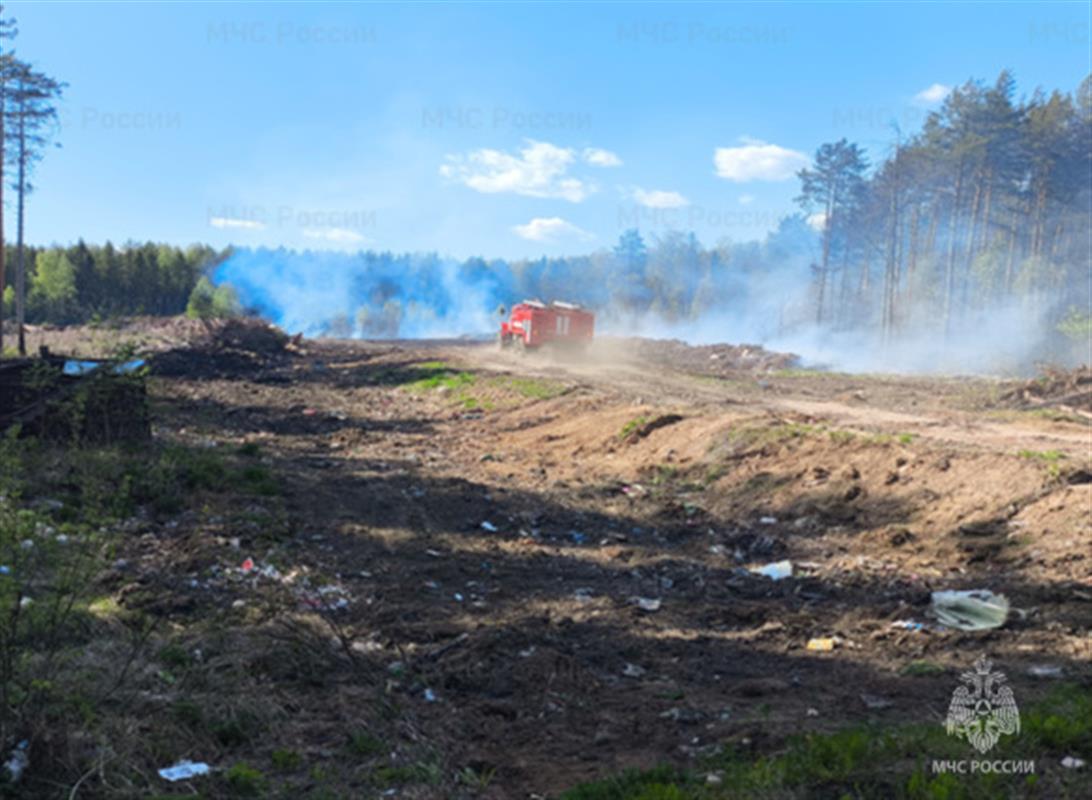 За нарушения при сжигании мусора костромичи заплатят более 200 тысяч рублей штрафов