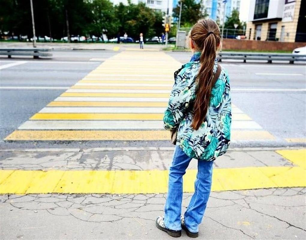 В Костромской области стартует социальная кампания «Иду в школу»
