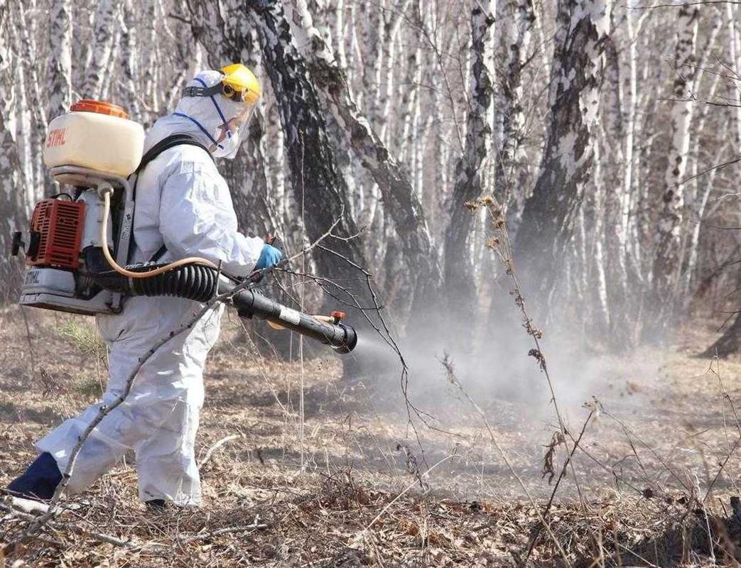 В костромских парках и скверах проходят акарицидные обработки