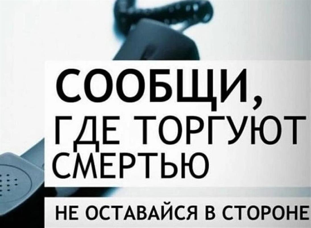 Кострома присоединилась в общероссийской акции «Сообщи, где торгуют смертью!»