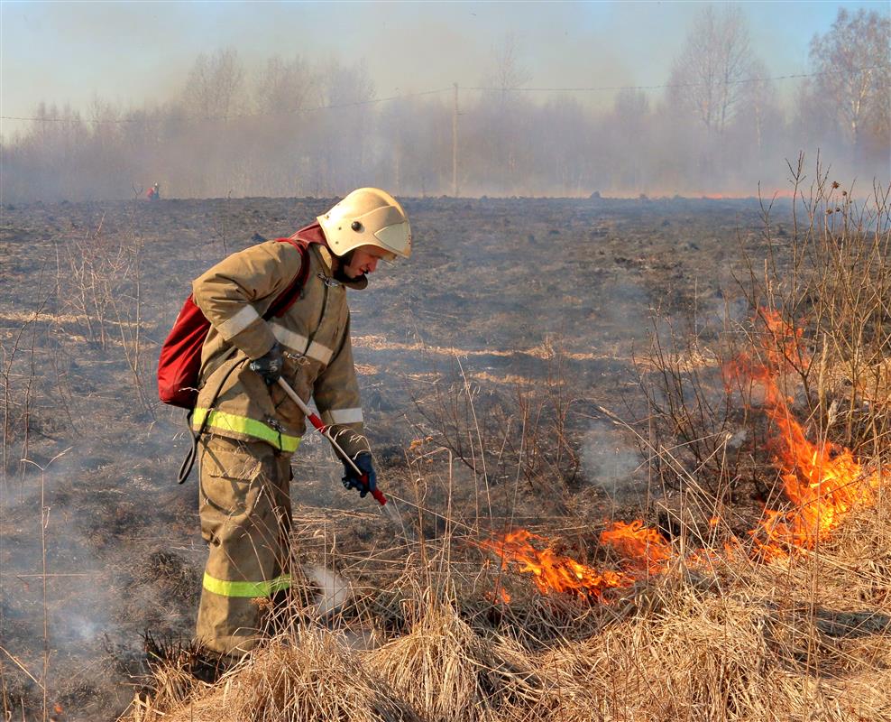 В Костромской области усилят контроль за незаконным палом травы
