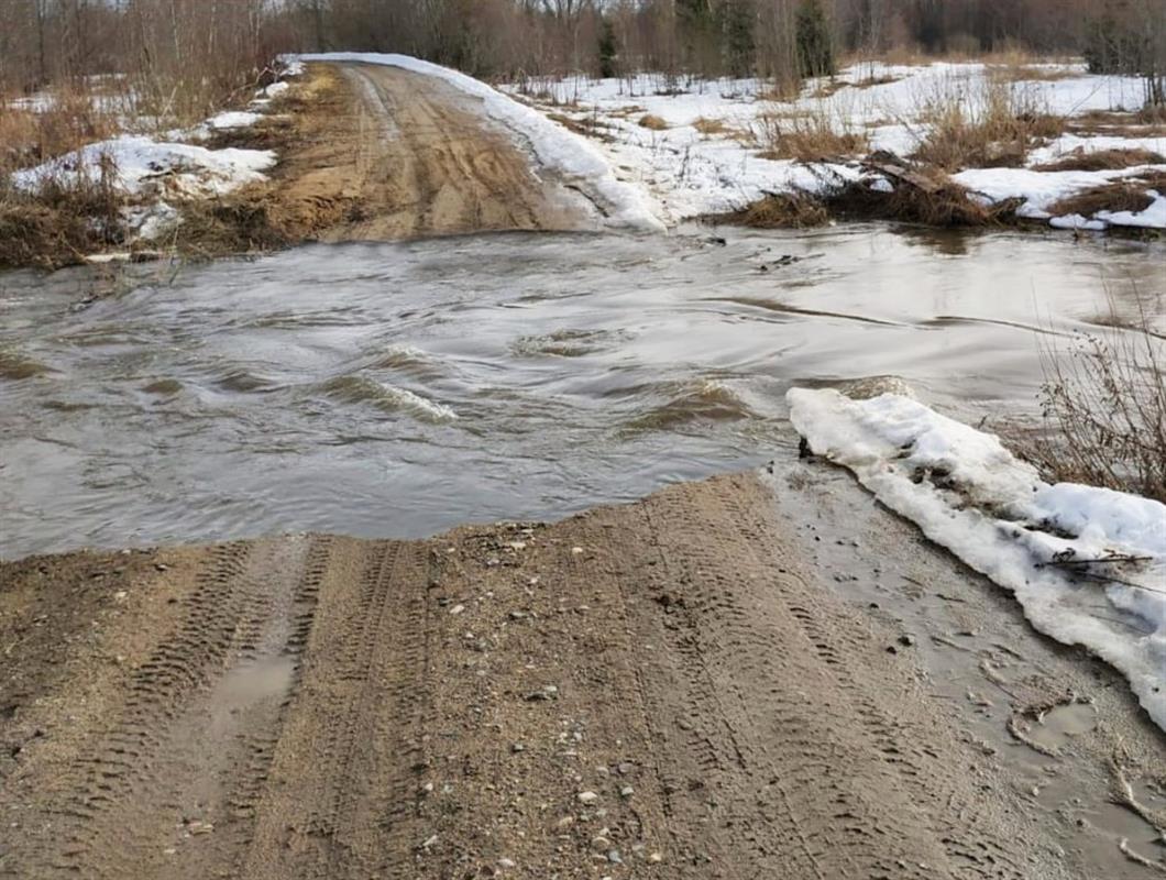 Весна идёт: из-за таяния снега в костромских реках начался подъём воды 