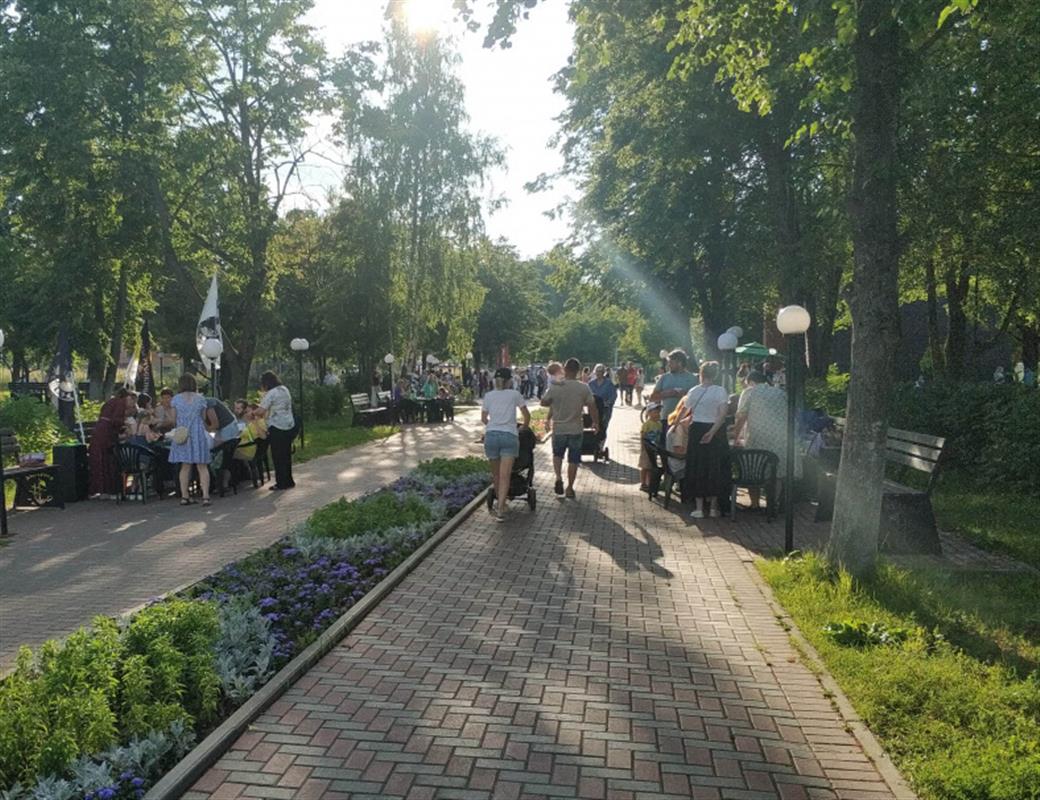 Зарядки, подвижные игры, уроки музыки и танцев: программа вторника в парках Костромы
