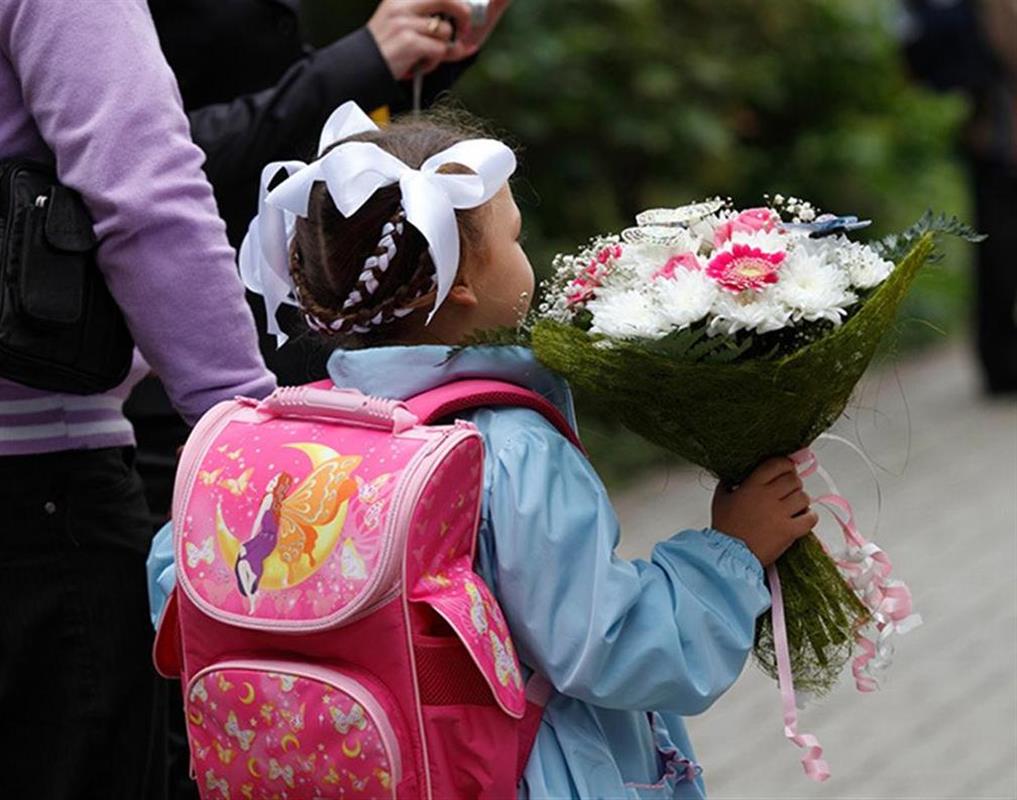 Костромские семьи получат губернаторские выплаты на подготовку первоклассников к школе
