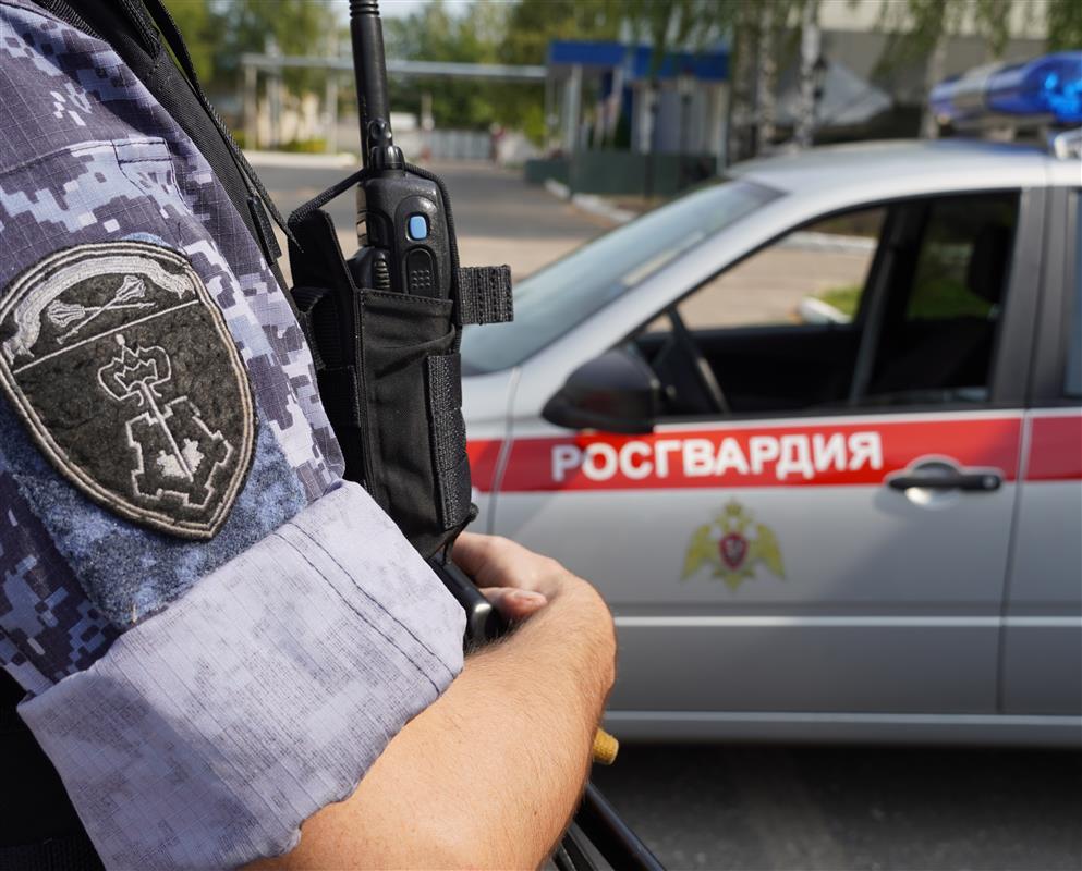 Сотрудники Росгвардии задержали мужчин, промышлявших кражами в магазинах Костромы
