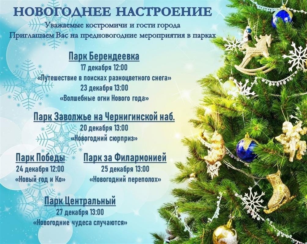 Костромичей приглашают за новогодним настроением в городские парки