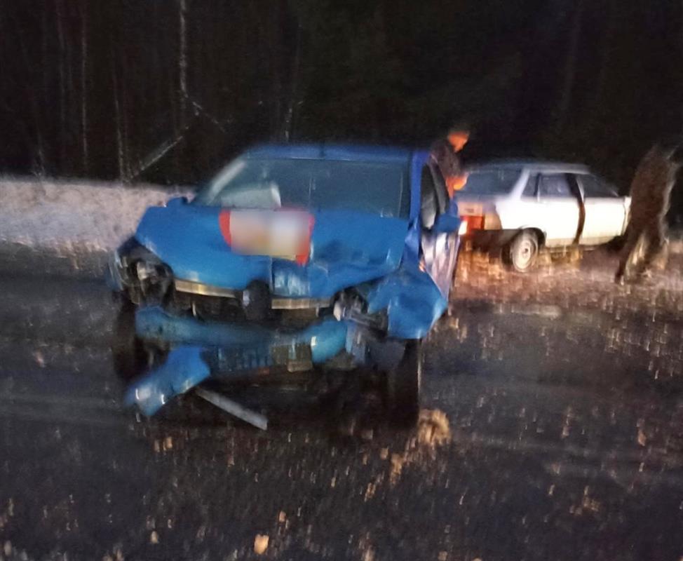 На костромской трассе не смогли разъехаться два автомобиля: два человека пострадали
