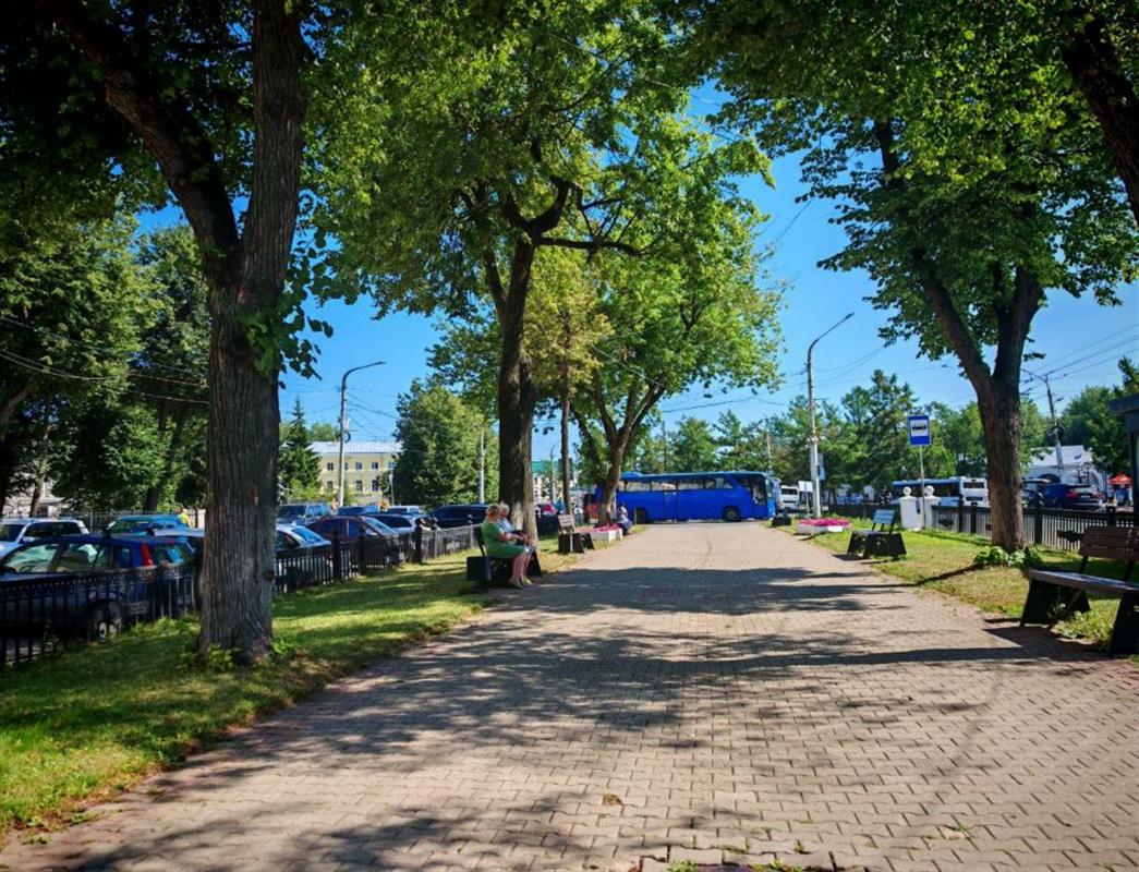 Ботниковский сквер в центре Костромы планируют благоустроить