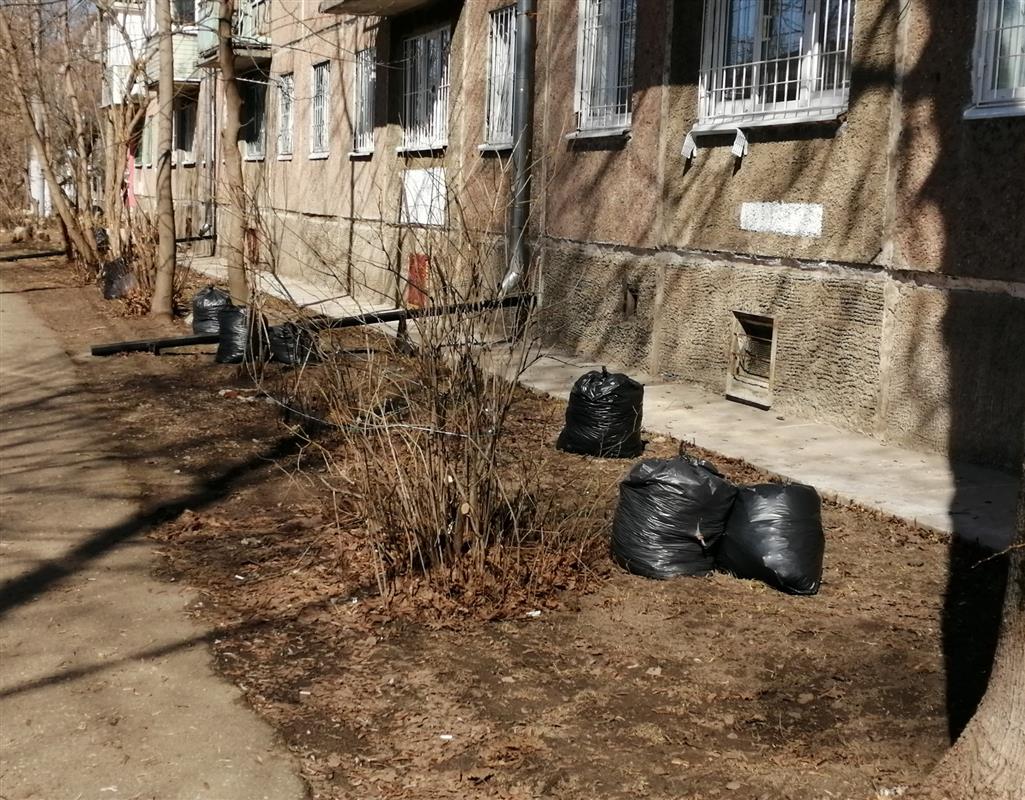 Костромичи дружно очищают родной город от мусора после зимы