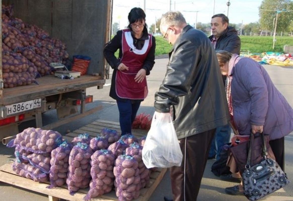 Осенние сельскохозяйственные ярмарки открываются в Костроме 
