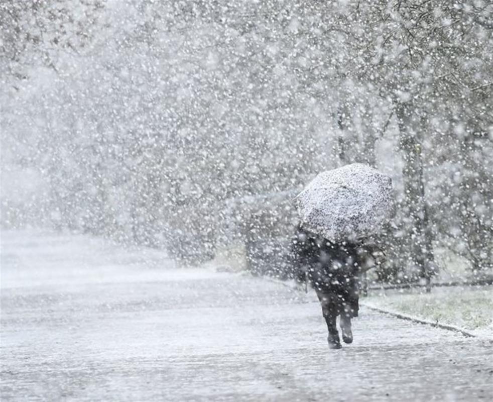 В Костроме прогнозируется усиление ветра и снегопад
