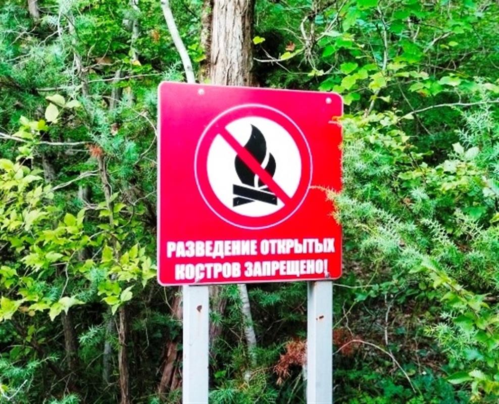 О нарушениях пожарной безопасности в лесах костромичи могут сообщить на «горячую линию»
