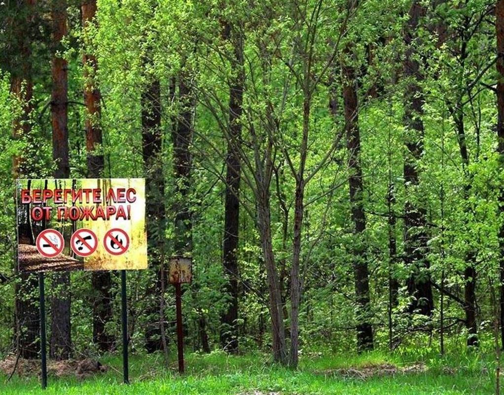 Костромичей предупредили о высокой пожарной опасности из-за жары
