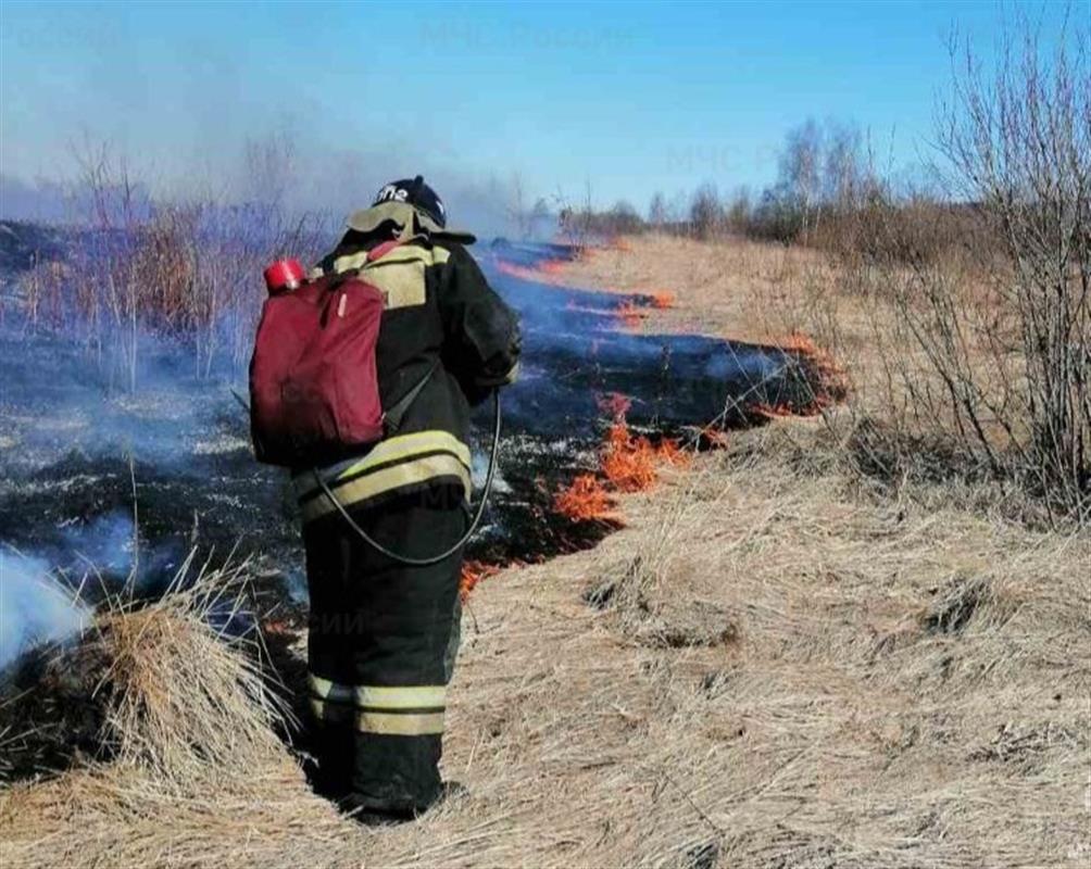 Причина палов травы в Костромской области - неосторожное обращение с огнём
