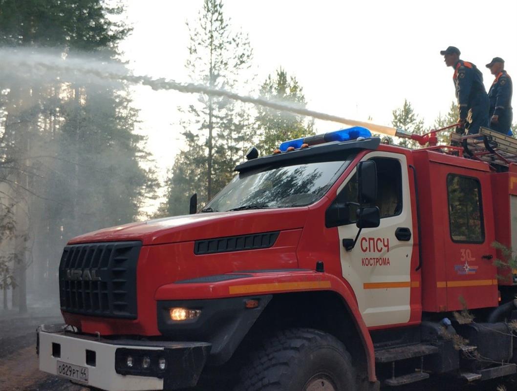 В Костромской области произошел первый в этом сезоне лесной пожар