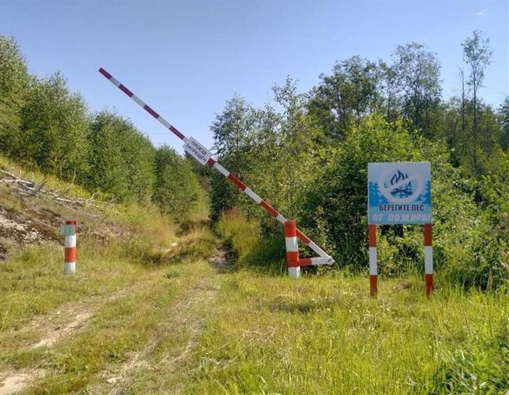 Высокий класс пожарной опасности сохраняется в костромских лесах из-за жары