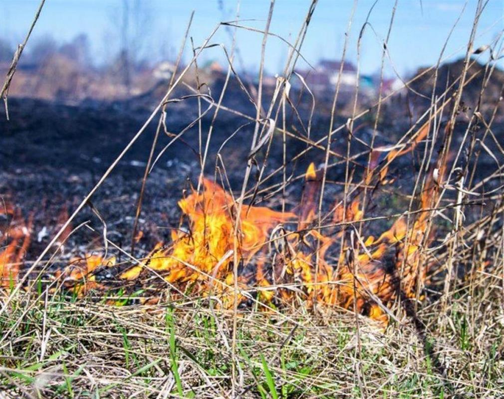 В Костромской области сохраняется высокая пожароопасность
