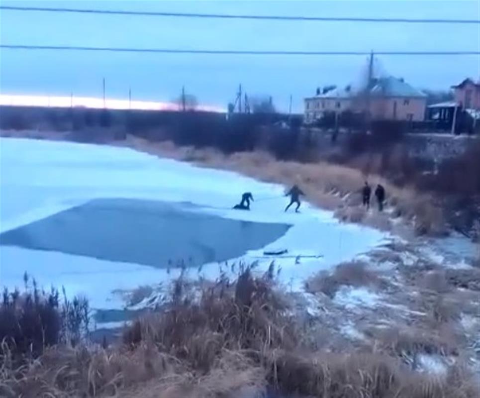 Под Костромой подростки спасли провалившуюся под лед собаку 