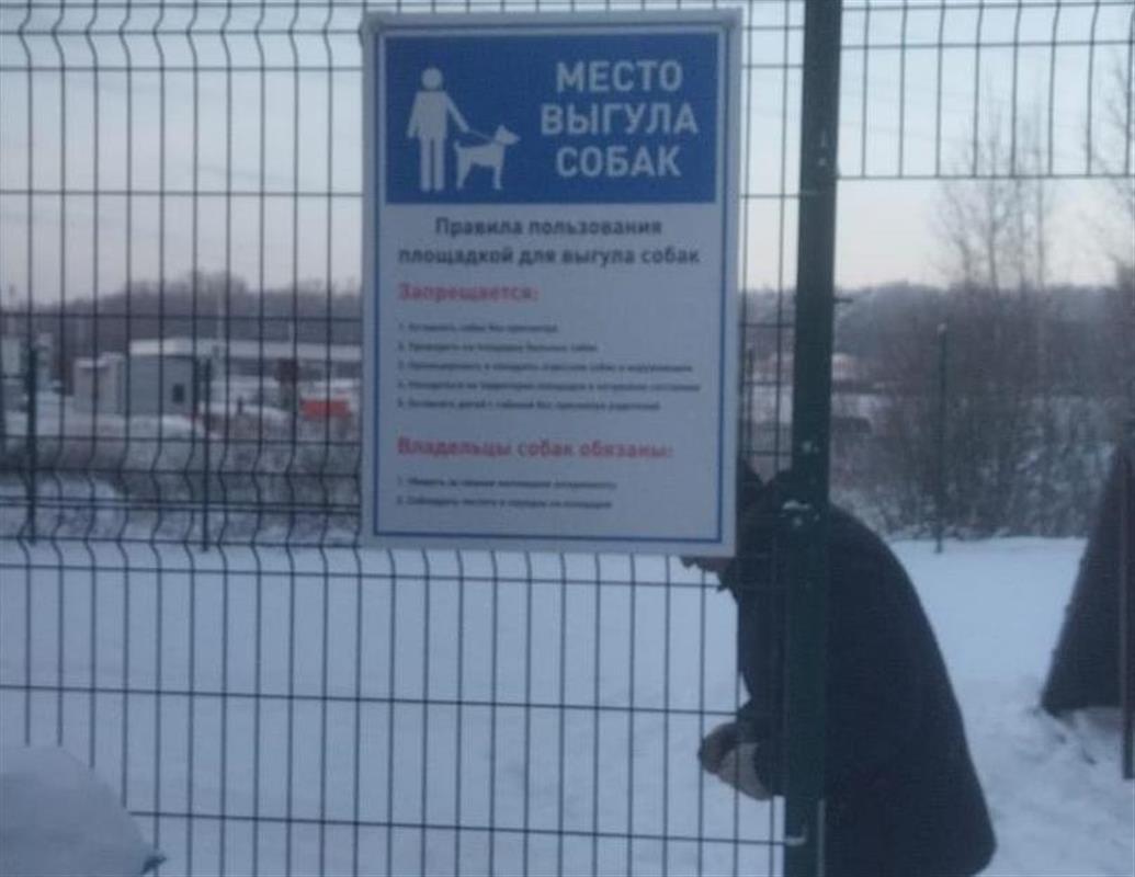 В одном из районов Костромы оборудовали площадку для выгула и дрессировки собак