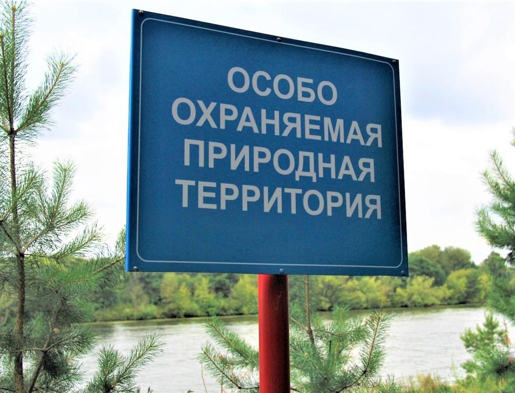 Две новые особо охраняемые природные территории появились в Костромском районе
