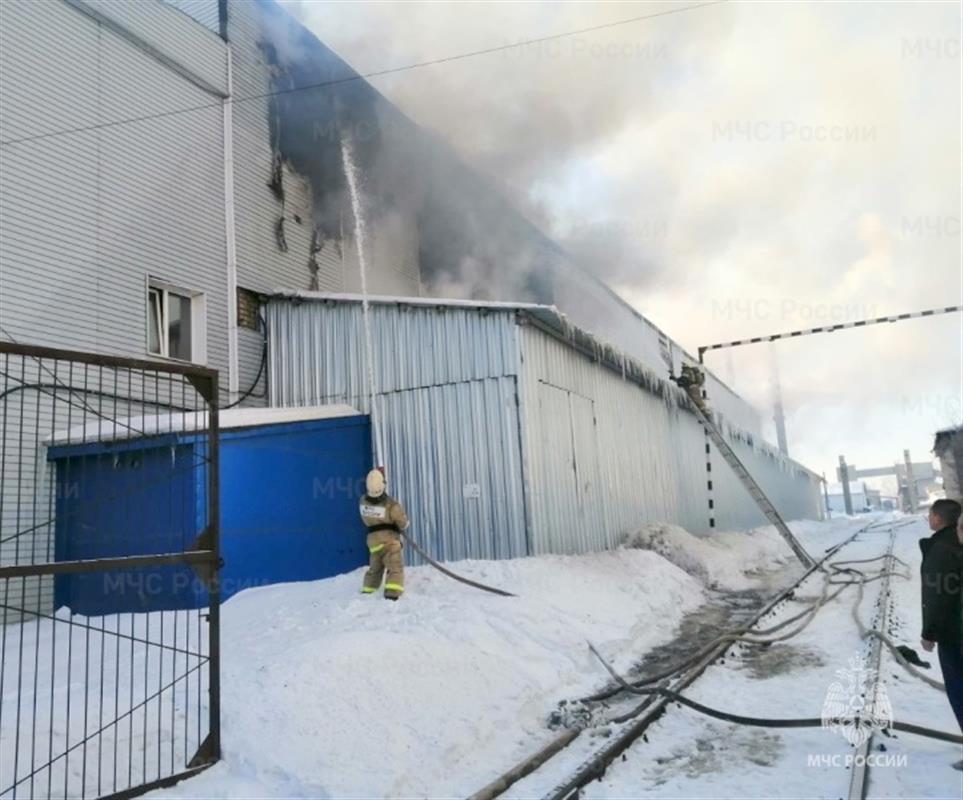 За неделю в Костромской области произошло 17 пожаров: есть пострадавший