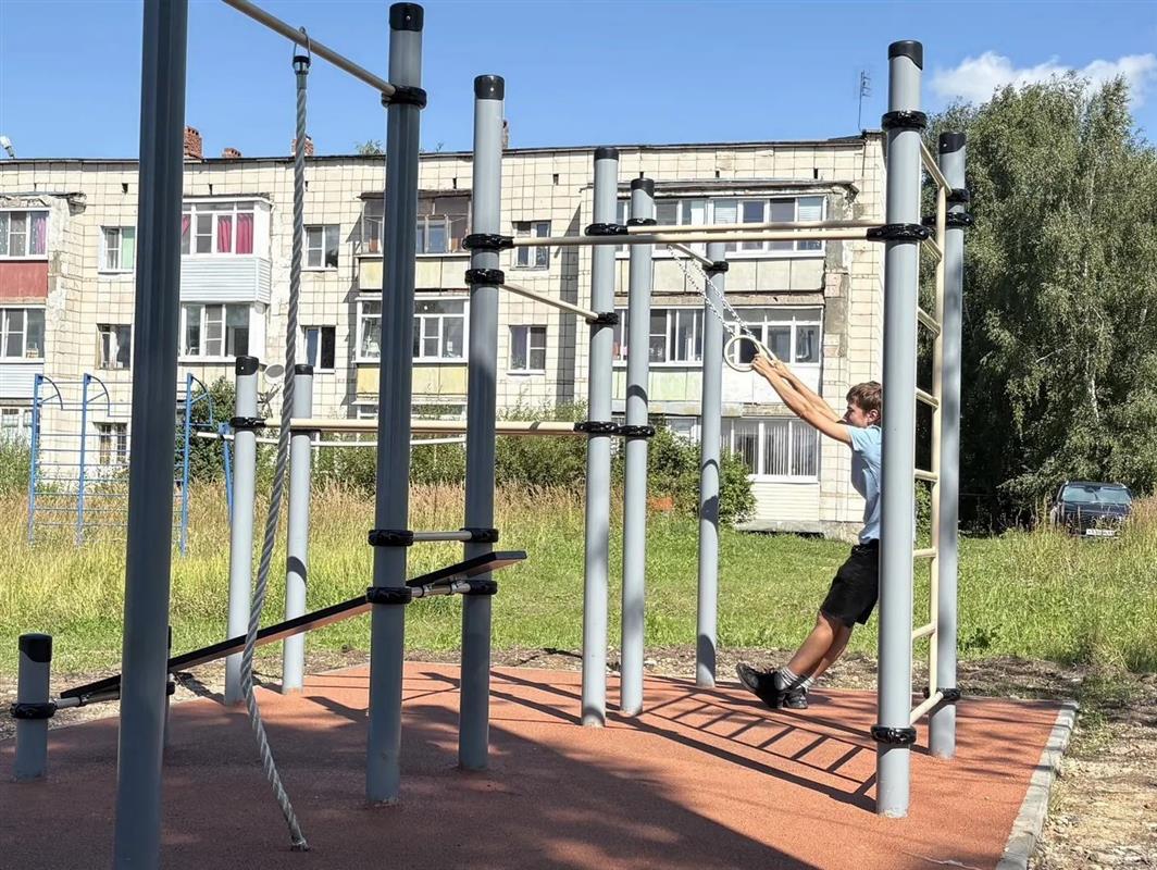 По инициативе жителей в Костроме благоустраивают ещё девять общественных территорий