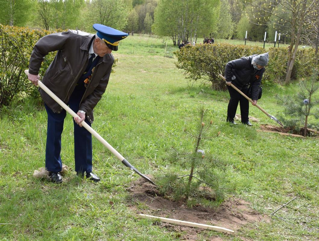 Костромичи поддержали международную акцию «Сад памяти»
