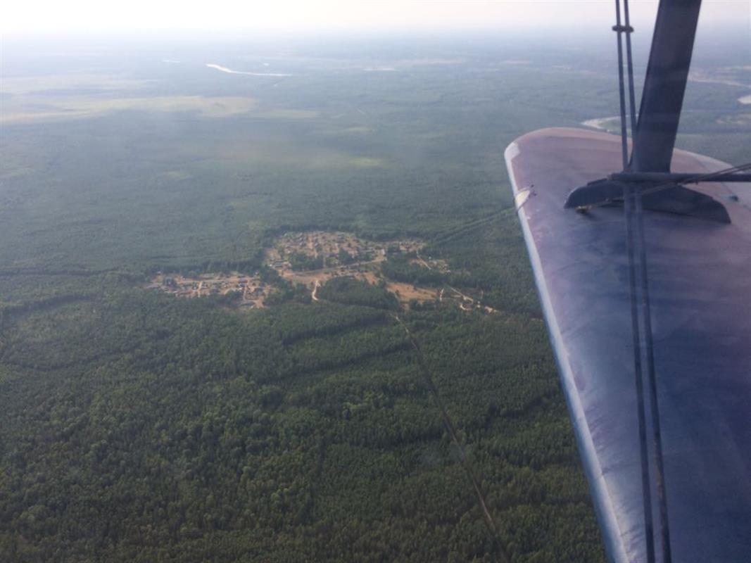 Пожарную обстановку в костромских лесах контролируют с воздуха