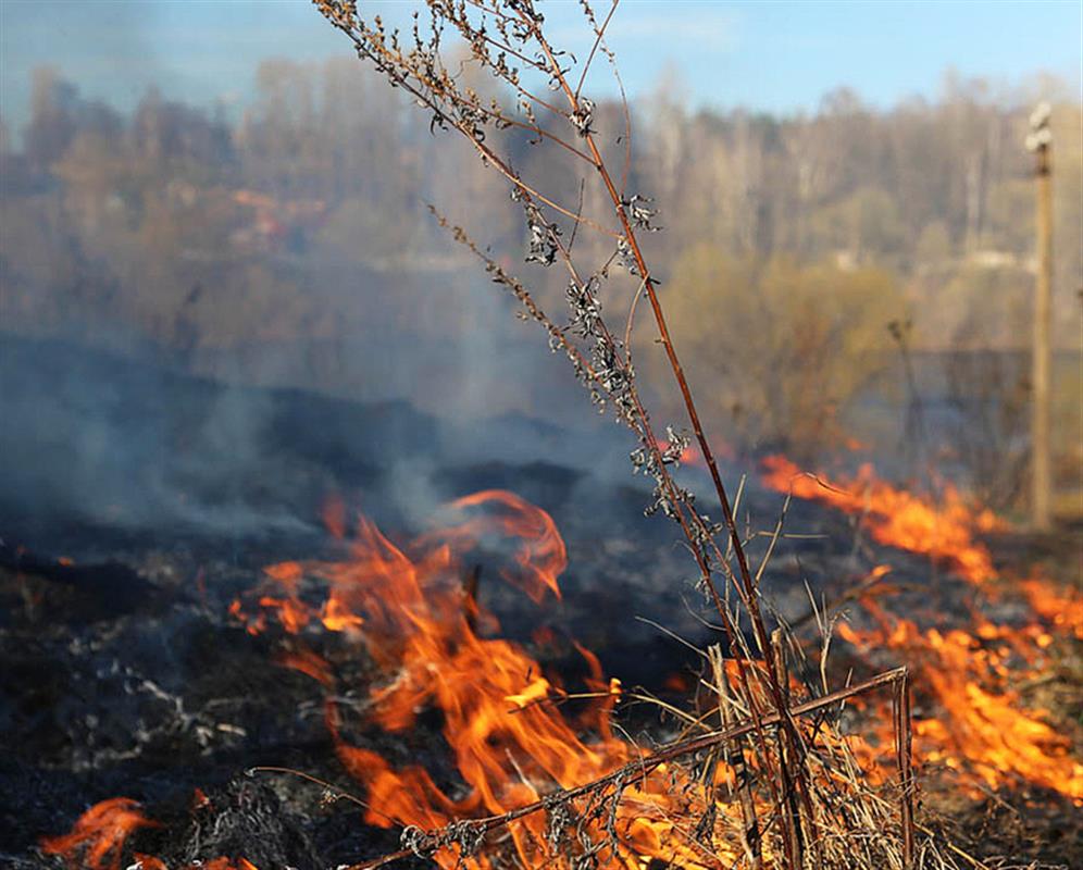 В Костроме введён особый противопожарный режим