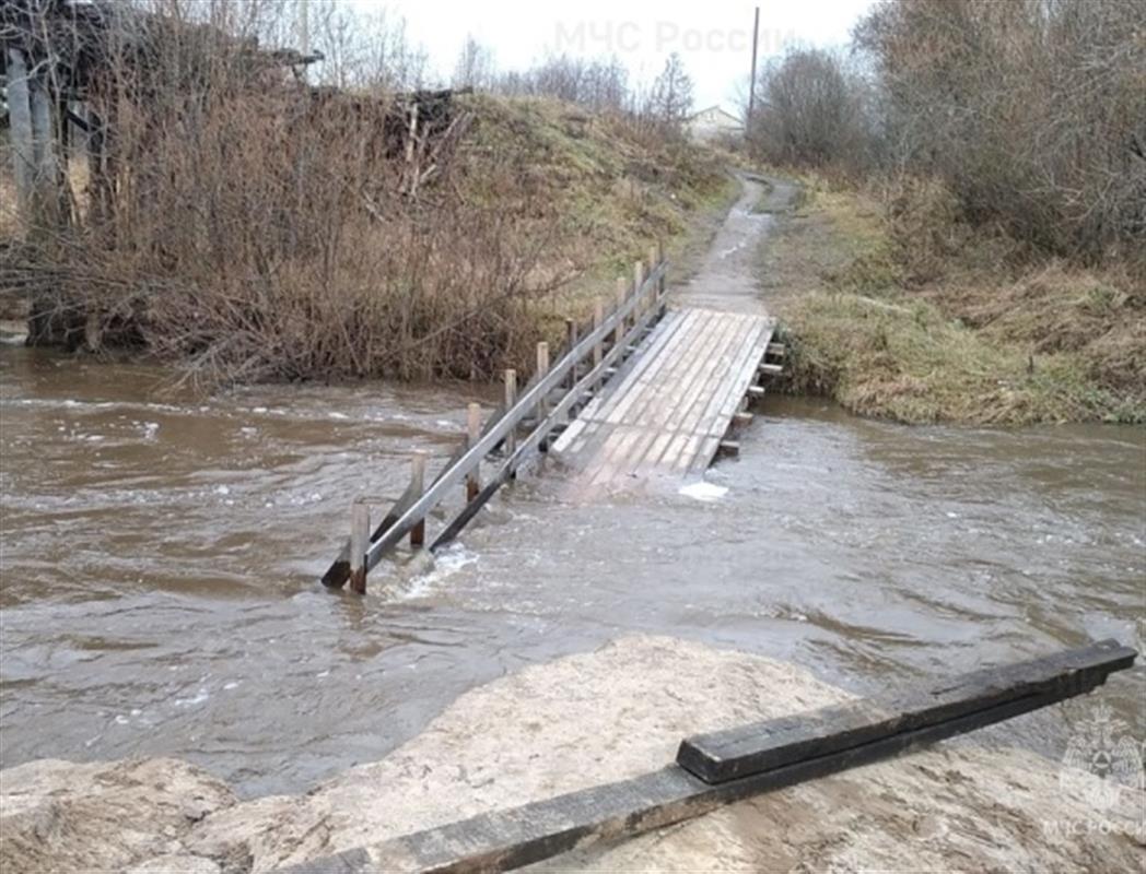 Юных костромичей, упавших в реку при переходе через подотопленный мост, успели спасти 