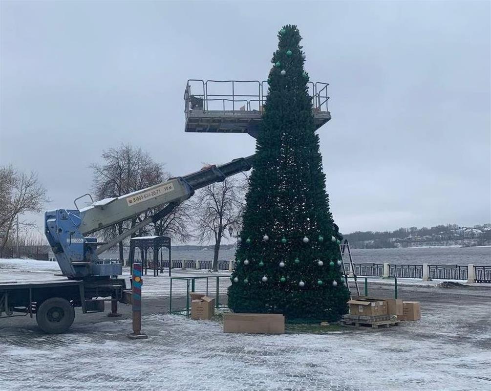 С кубышкой на макушке: необычную ель устанавливают у Московской заставы в Костроме