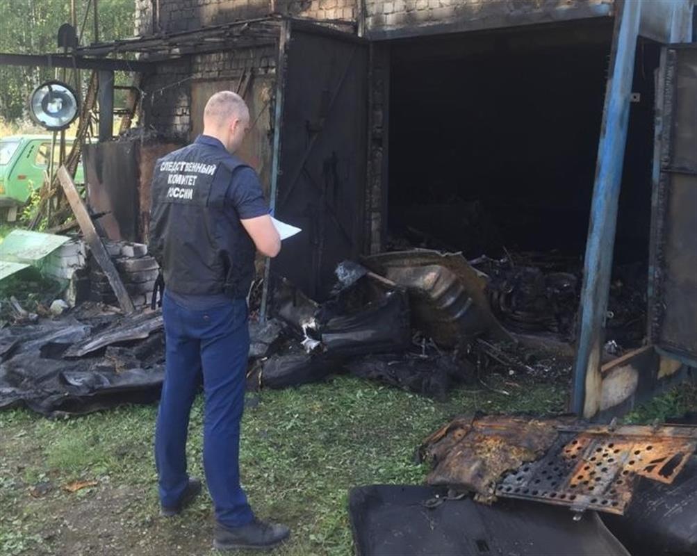 За неделю при пожарах в Костромской области погибли два человека
