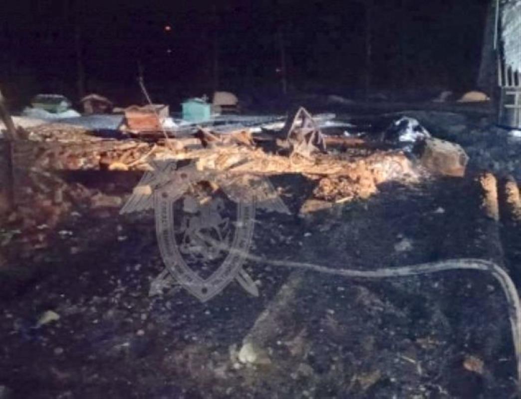 Из-за неосторожного обращения с огнём в одном из костромских посёлков сгорел дом
