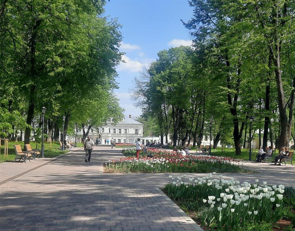 В Костроме начался второй этап благоустройства территории Центрального парка 
