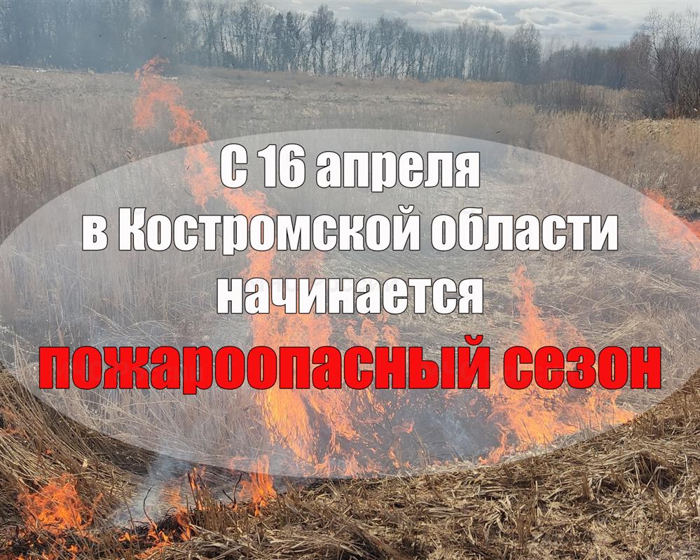 В Костромской области начался пожароопасный сезон
